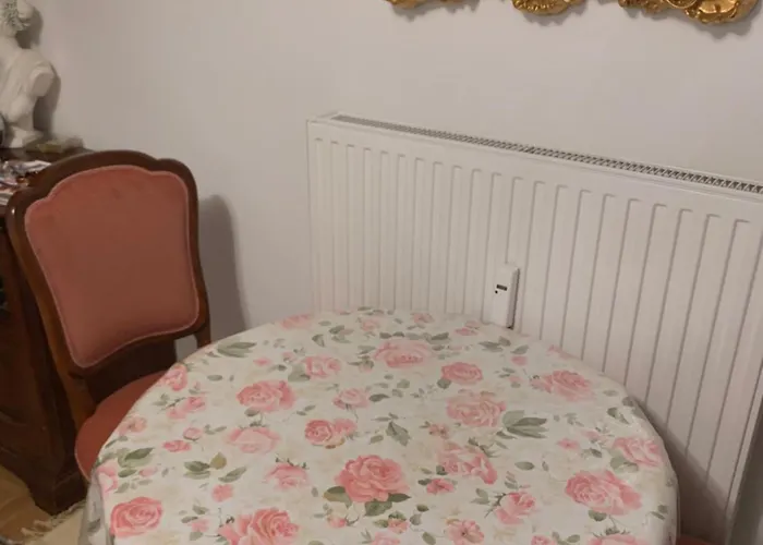 Einzimmerwohnung Am Jakomini Graz